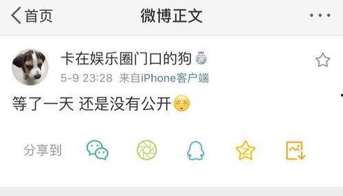 唱歌吃瓜爆料,唱歌吃瓜，揭秘娱乐圈幕后爆料